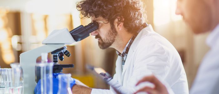 Untitled design (27)